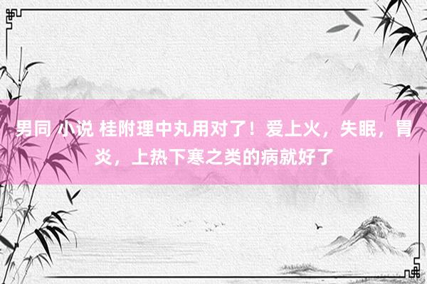 男同 小说 桂附理中丸用对了！爱上火，失眠，胃炎，上热下寒之类的病就好了