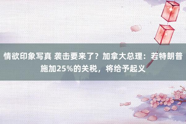 情欲印象写真 袭击要来了？加拿大总理：若特朗普施加25%的关税，将给予起义