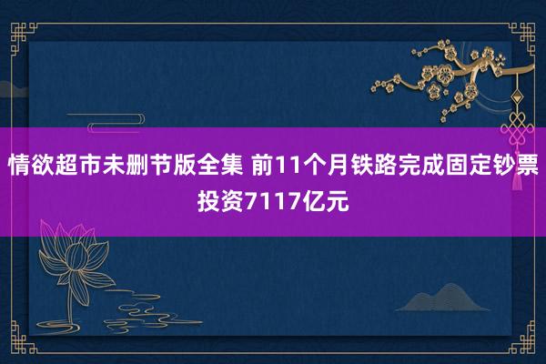 情欲超市未删节版全集 前11个月铁路完成固定钞票投资7117亿元