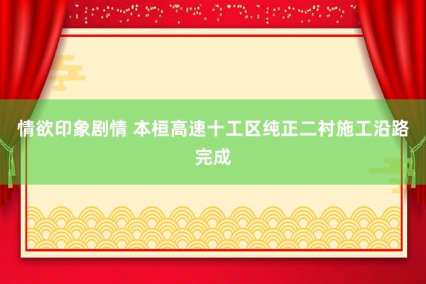 情欲印象剧情 本桓高速十工区纯正二衬施工沿路完成