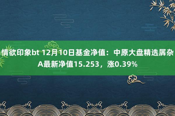 情欲印象bt 12月10日基金净值：中原大盘精选羼杂A最新净值15.253，涨0.39%