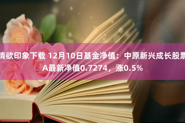 情欲印象下载 12月10日基金净值：中原新兴成长股票A最新净值0.7274，涨0.5%