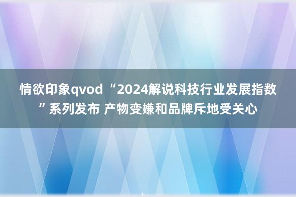 情欲印象qvod “2024解说科技行业发展指数”系列发布 产物变嫌和品牌斥地受关心