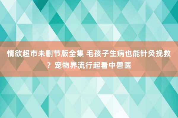 情欲超市未删节版全集 毛孩子生病也能针灸挽救？宠物界流行起看中兽医