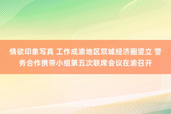 情欲印象写真 工作成渝地区双城经济圈竖立 警务合作携带小组第五次联席会议在渝召开