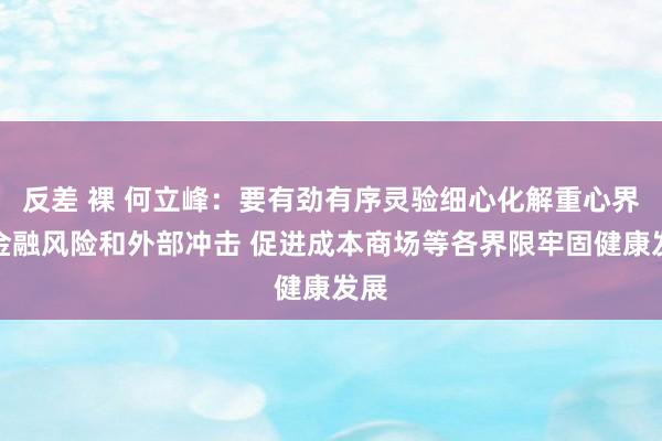 反差 裸 何立峰：要有劲有序灵验细心化解重心界限金融风险和外部冲击 促进成本商场等各界限牢固健康发展