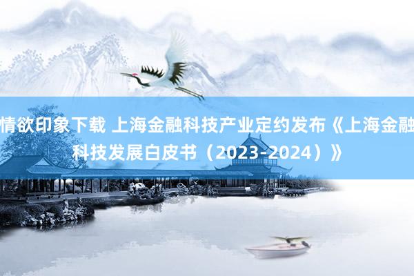 情欲印象下载 上海金融科技产业定约发布《上海金融科技发展白皮书（2023-2024）》