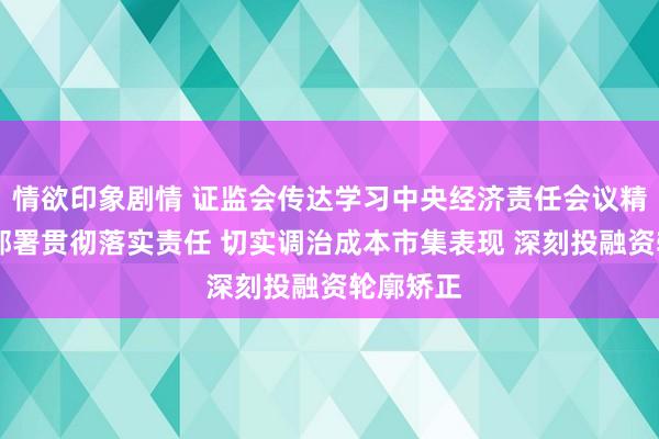 情欲印象剧情 证监会传达学习中央经济责任会议精神 盘问部署贯彻落实责任 切实调治成本市集表现 深刻投融资轮廓矫正