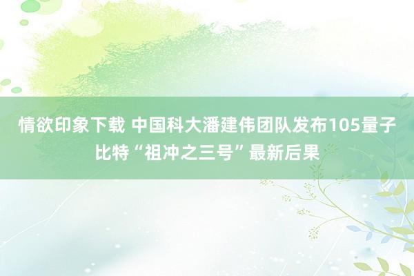 情欲印象下载 中国科大潘建伟团队发布105量子比特“祖冲之三号”最新后果