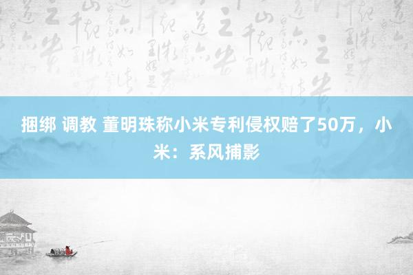 捆绑 调教 董明珠称小米专利侵权赔了50万，小米：系风捕影