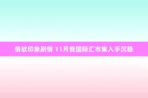 情欲印象剧情 11月我国际汇市集入手沉稳