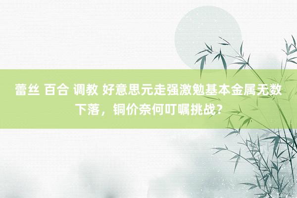 蕾丝 百合 调教 好意思元走强激勉基本金属无数下落，铜价奈何叮嘱挑战？