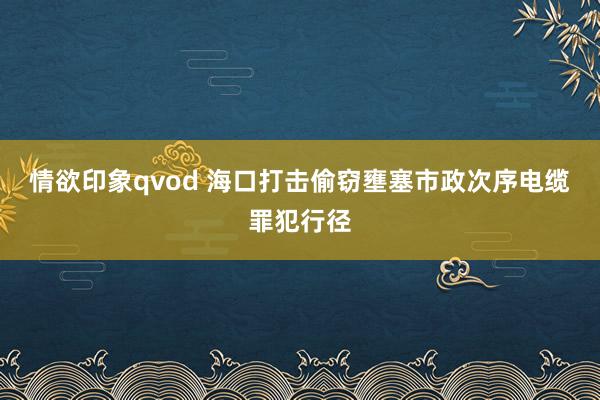 情欲印象qvod 海口打击偷窃壅塞市政次序电缆罪犯行径