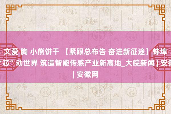 文爱 胸 小熊饼干 【紧跟总布告 奋进新征途】蚌埠：“芯”动世界 筑造智能传感产业新高地_大皖新闻 | 安徽网