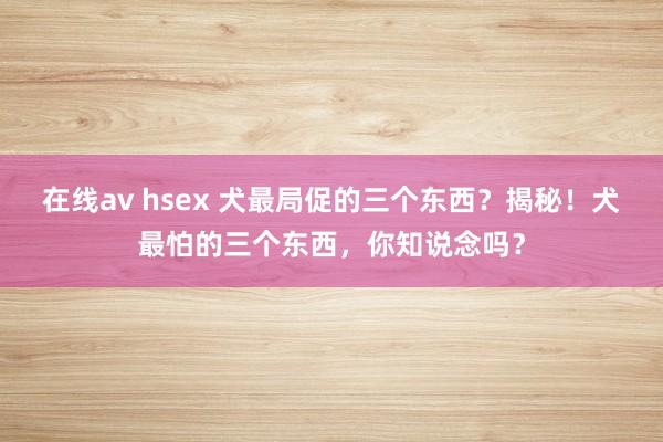 在线av hsex 犬最局促的三个东西？揭秘！犬最怕的三个东西，你知说念吗？