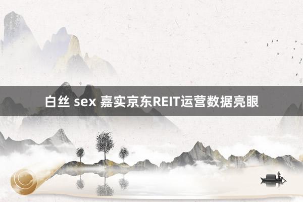 白丝 sex 嘉实京东REIT运营数据亮眼