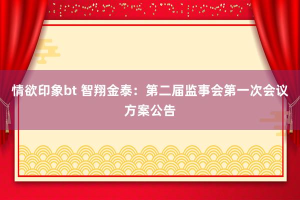 情欲印象bt 智翔金泰：第二届监事会第一次会议方案公告