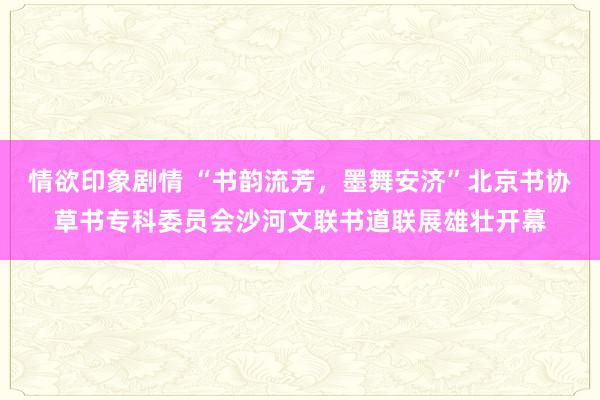 情欲印象剧情 “书韵流芳，墨舞安济”北京书协草书专科委员会沙河文联书道联展雄壮开幕