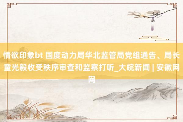 情欲印象bt 国度动力局华北监管局党组通告、局长童光毅收受秩序审查和监察打听_大皖新闻 | 安徽网