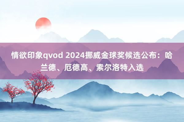 情欲印象qvod 2024挪威金球奖候选公布：哈兰德、厄德高、索尔洛特入选