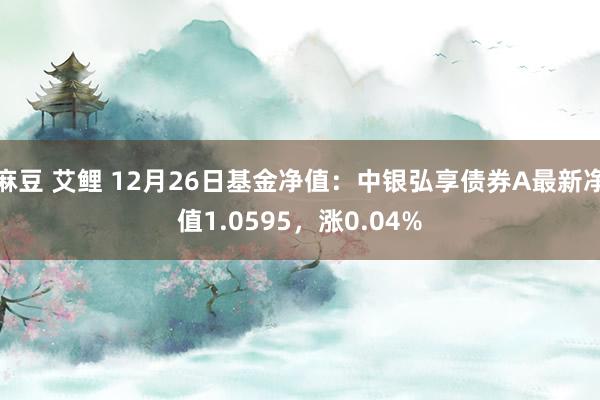 麻豆 艾鲤 12月26日基金净值：中银弘享债券A最新净值1.0595，涨0.04%