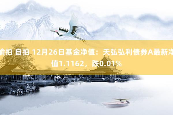 偷拍 自拍 12月26日基金净值：天弘弘利债券A最新净值1.1162，跌0.01%