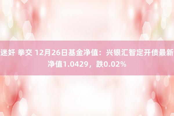 迷奸 拳交 12月26日基金净值：兴银汇智定开债最新净值1.0429，跌0.02%