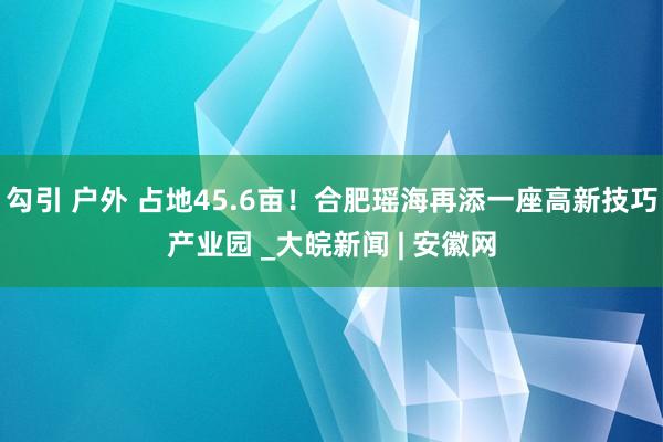 勾引 户外 占地45.6亩！合肥瑶海再添一座高新技巧产业园 _大皖新闻 | 安徽网