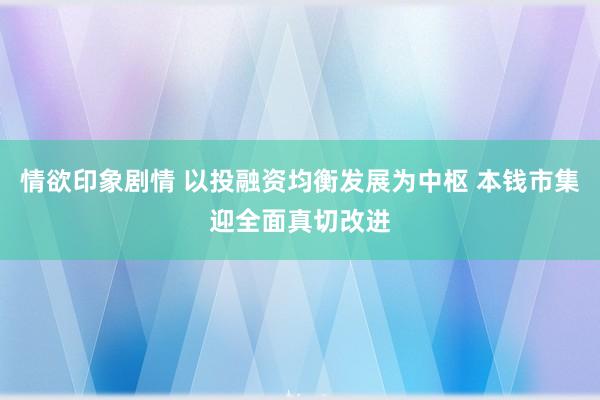 情欲印象剧情 以投融资均衡发展为中枢 本钱市集迎全面真切改进