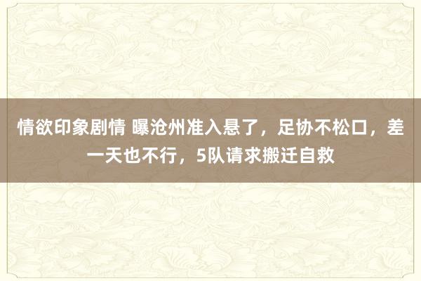 情欲印象剧情 曝沧州准入悬了，足协不松口，差一天也不行，5队请求搬迁自救