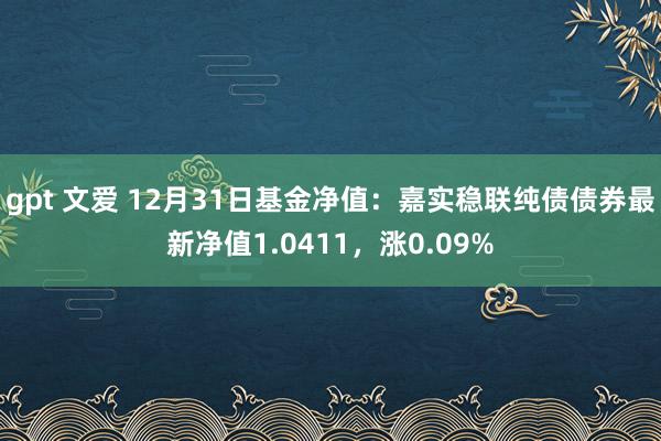 gpt 文爱 12月31日基金净值：嘉实稳联纯债债券最新净值1.0411，涨0.09%