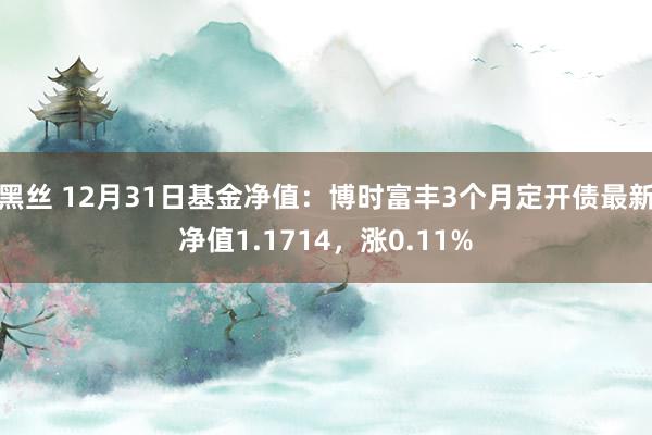 黑丝 12月31日基金净值：博时富丰3个月定开债最新净值1.1714，涨0.11%