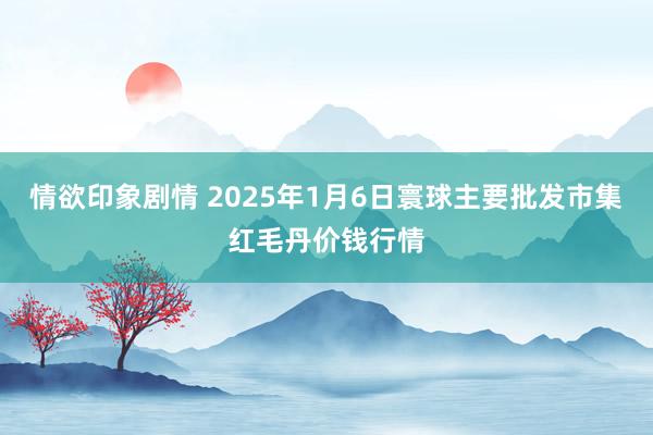 情欲印象剧情 2025年1月6日寰球主要批发市集红毛丹价钱行情