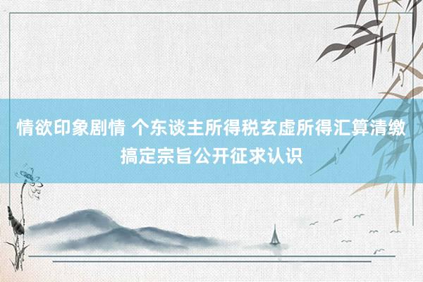 情欲印象剧情 个东谈主所得税玄虚所得汇算清缴搞定宗旨公开征求认识