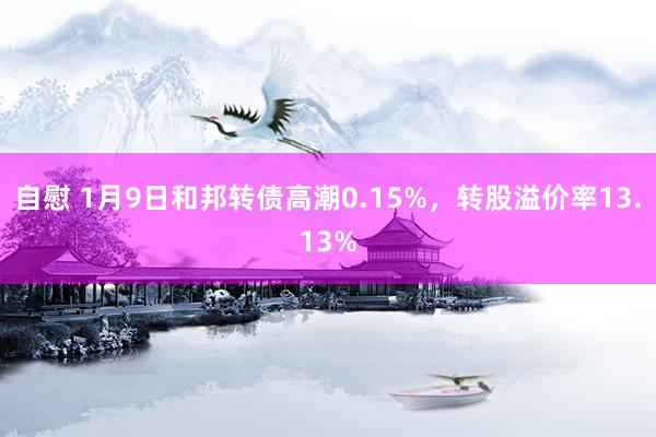 自慰 1月9日和邦转债高潮0.15%，转股溢价率13.13%