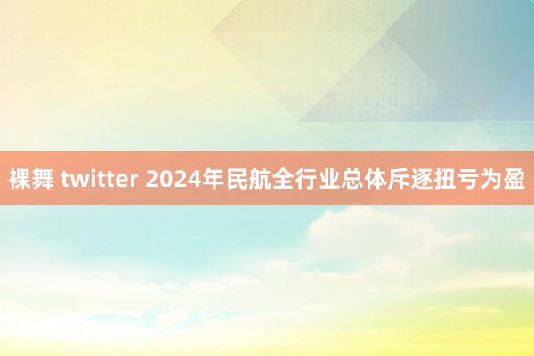 裸舞 twitter 2024年民航全行业总体斥逐扭亏为盈