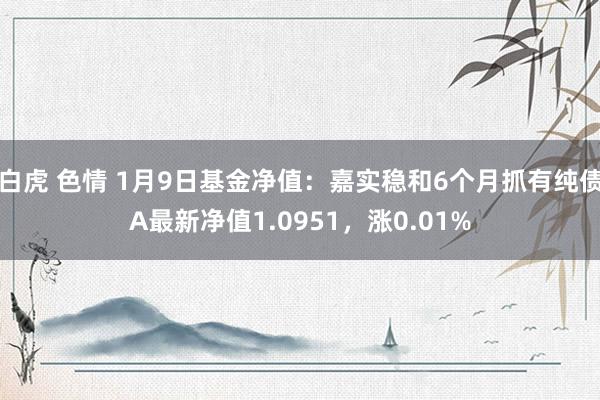 白虎 色情 1月9日基金净值：嘉实稳和6个月抓有纯债A最新净值1.0951，涨0.01%