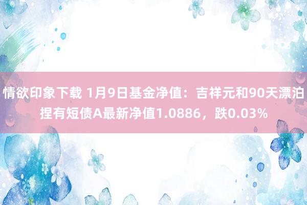 情欲印象下载 1月9日基金净值：吉祥元和90天漂泊捏有短债A最新净值1.0886，跌0.03%