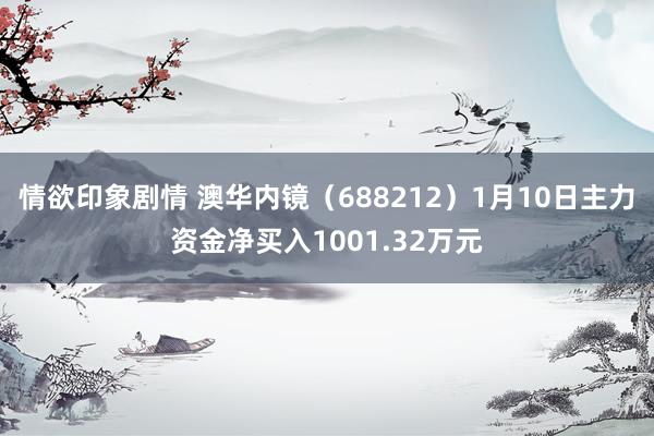 情欲印象剧情 澳华内镜（688212）1月10日主力资金净买入1001.32万元