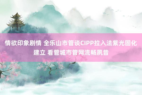 情欲印象剧情 全乐山市管谈CIPP拉入法紫光固化建立 看管城市管网流畅夙昔