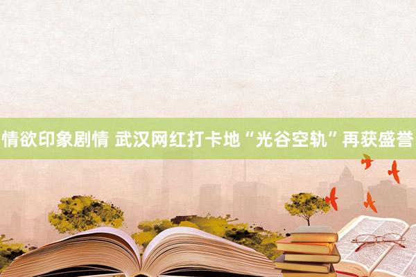 情欲印象剧情 武汉网红打卡地“光谷空轨”再获盛誉