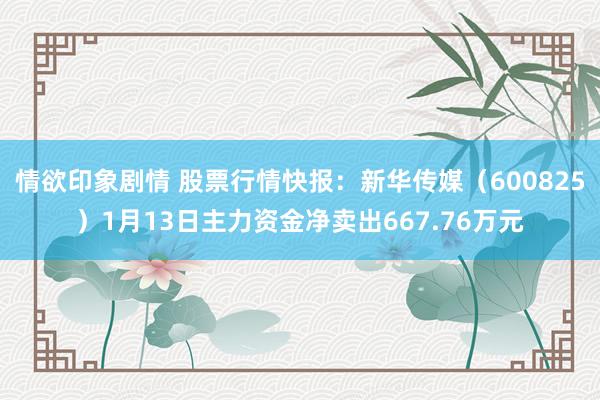 情欲印象剧情 股票行情快报：新华传媒（600825）1月13日主力资金净卖出667.76万元