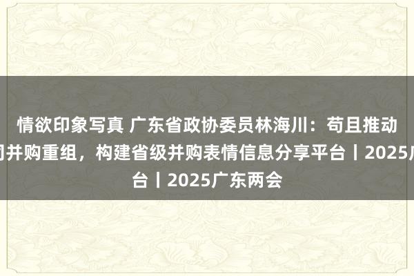 情欲印象写真 广东省政协委员林海川：苟且推动上市公司并购重组，构建省级并购表情信息分享平台丨2025广东两会