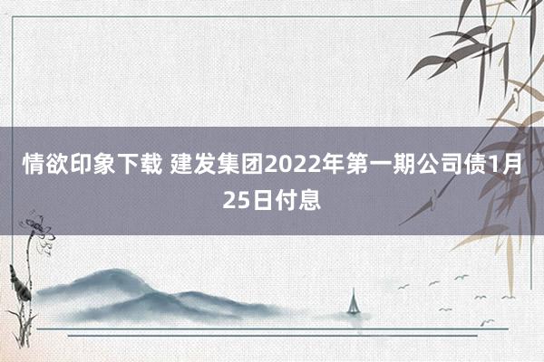 情欲印象下载 建发集团2022年第一期公司债1月25日付息