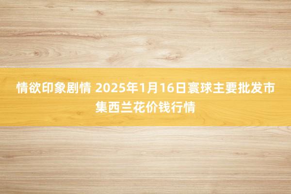 情欲印象剧情 2025年1月16日寰球主要批发市集西兰花价钱行情