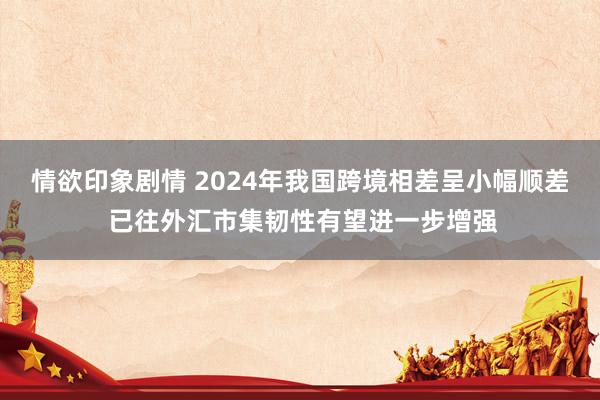 情欲印象剧情 2024年我国跨境相差呈小幅顺差 已往外汇市集韧性有望进一步增强